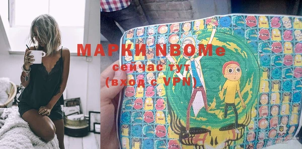 шишки Карпинск