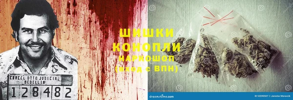 шишки Карпинск